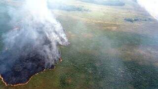 Vista aérea da área atingida pelas chamas em Naviraí (Foto: Divulgação )