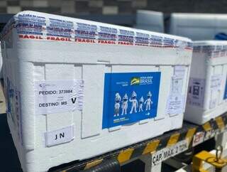 Lote com vacinas pediátricas da Pfizer que será enviado à Mato Grosso do Sul. (Foto: Divulgação)