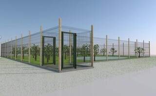 Ilustração do recinto que simula o meio ambiente para lontra voltar ao Pantanal. (Foto: Ilustração)