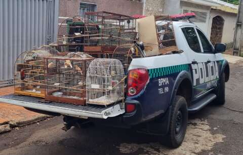PMA autou 99 pessoas por crimes contra a fauna com multa de R$ 3 milhões