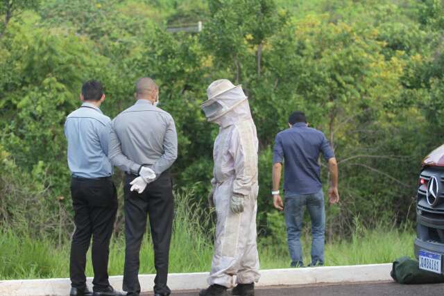 Homem morre ao ser atacado por abelhas em c&oacute;rrego 