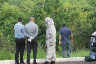Bombeiro com roupa de apicultor no local onde aconteceu o incidente (Foto: Marcos Maluf)
