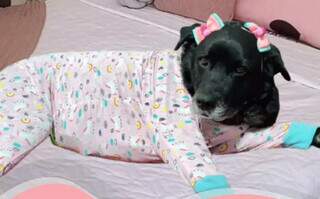 Laika vestida com pijama em divulgação em seu Instagram. (Foto: Reprodução)