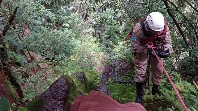 Bombeiros j&aacute; percorreram raio de 1,5 km em busca por idosa desaparecida