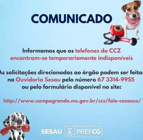 Telefones do CCZ est&atilde;o indispon&iacute;veis e orienta&ccedil;&atilde;o &eacute; ligar na Ouvidoria da Sesau