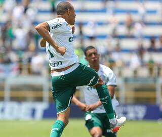 Jogadores do Palmeiras comemoram gol da classificação sobre o Internacional (Foto: Divulgação)
