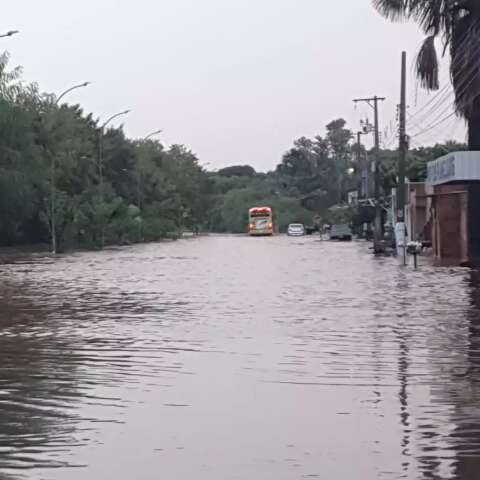 Temporal faz c&oacute;rrego transbordar e avenida fica encoberta por &aacute;gua 