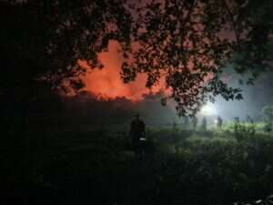 Em 5 horas, inc&ecirc;ndio em &aacute;rea urbana devastou quase 50 hectares