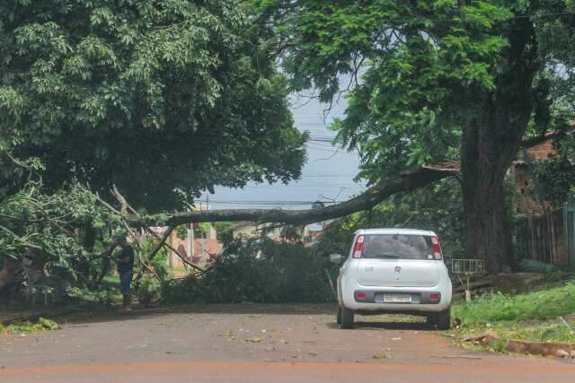 Manh&atilde; foi de reparos para os moradores da regi&atilde;o mais atingida pela chuva 