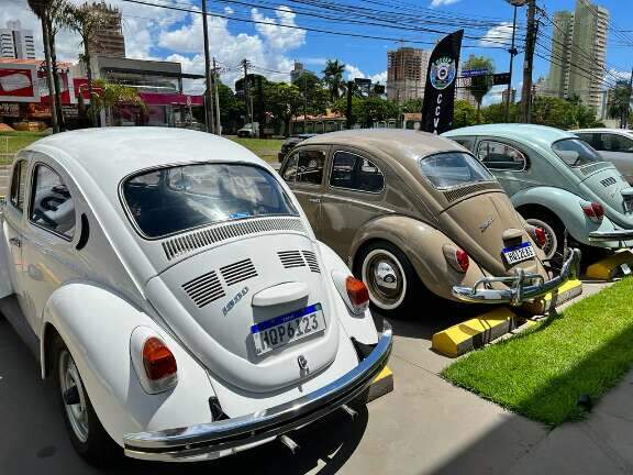 Chance de ver carros de coleção, exposição comemora Dia Nacional do Fusca