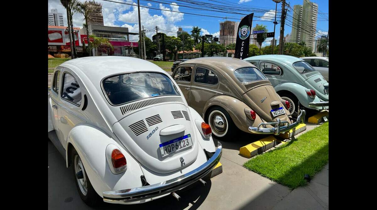 Fusca completa 60 anos com encontro de colecionadores na Morada dos Baís -  Diversão - Campo Grande News