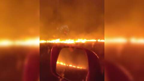 Dez dias após controle, fogo voltou a atingir parques de Naviraí