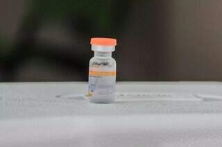 Frasco de vacina contra a covid-19, da Coronavac, permitida também a crianças de seis a 17 anos. (Foto: Marcos Maluf)