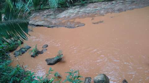 Lama tinge de marrom água límpida e população faz campanha por Córrego das Antas