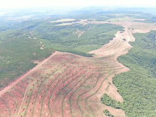 Vista do alto, área gradeada onde não foram adotadas medidas de conservação do solo. (Foto: PMA)