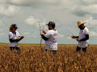 Técnicos da expedição durante levantamento em lavoura de soja em Goiás (Foto: Eduardo Montsou)
