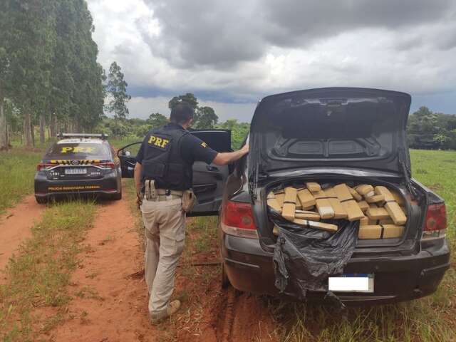 PRF apreende &ldquo;cavalo doido&rdquo; com 618 quilos de maconha e skunk 