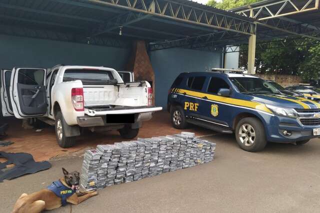 Com ajuda de c&atilde;es farejadores, PRF apreende R$ 36 milh&otilde;es em coca&iacute;na na Capital