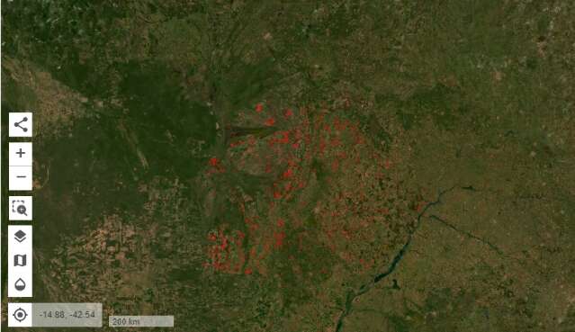 MS lidera desmate na Mata Atl&acirc;ntica com 3.223 hectares derrubados em 2021