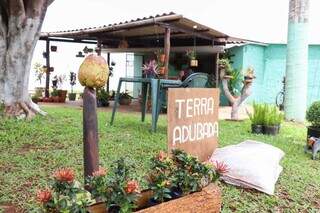 Em ponto de &aacute;gua de coco, freguesia se apaixona pelo jardim caprichado 