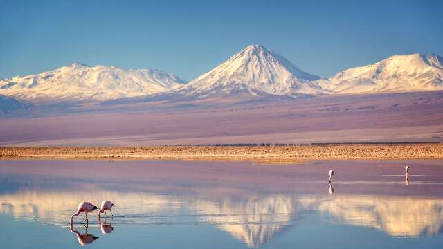 Dicas de filmes para você viajar pelo mundo sem sair de casa