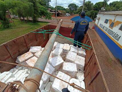 Motorista &eacute; preso com R$ 5,9 milh&otilde;es em agrot&oacute;xicos contrabandeados 