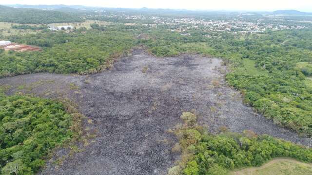 Fazendeiro p&otilde;e fogo em &aacute;rea de Bonito, chamas se alastram e destroem mata ciliar