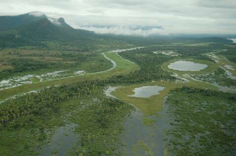 Apesar das chuvas, Pantanal deve ficar sem cheia pelo quarto ano consecutivo 
