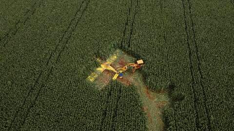 V&iacute;deo mostra momento em que avi&atilde;o agr&iacute;cola caiu em planta&ccedil;&atilde;o de milho