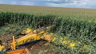 Avi&atilde;o agr&iacute;cola cai em planta&ccedil;&atilde;o de milho e piloto morre 