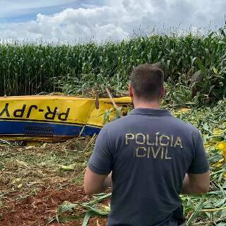 Avi&atilde;o agr&iacute;cola cai em planta&ccedil;&atilde;o de milho e piloto morre 