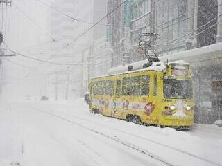 O objetivo da viagem era o Festival da Neve de Sapporo, um dos maiores da Ásia, que foi cancelado com menos de 15 dias do evento. (Foto: Arquivo Pessoal/Silvio Mori)