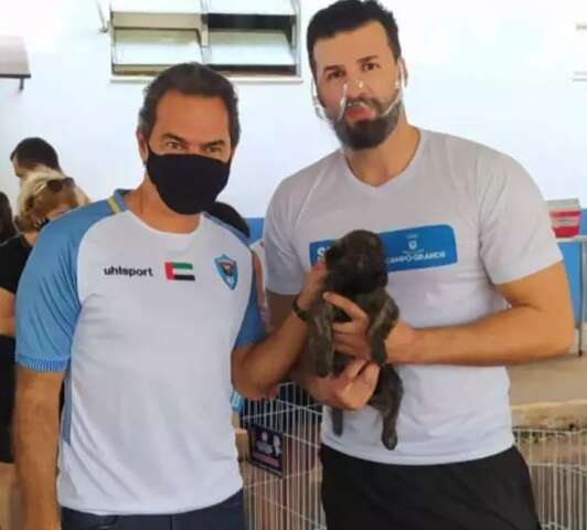 A&ccedil;&atilde;o vai castrar c&atilde;es e gatos que vivem em escolas municipais da Capital