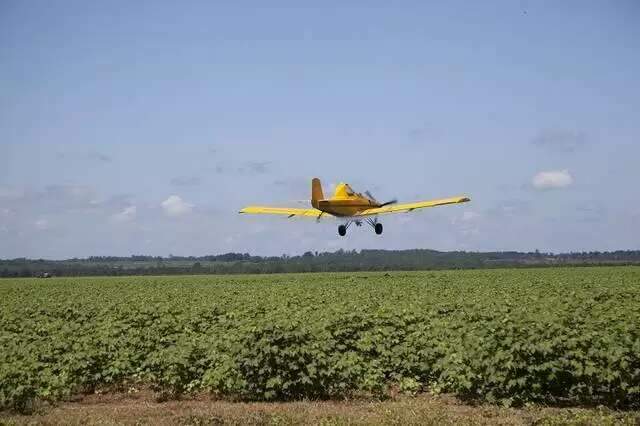 Justiça nega pulverização aérea em florestas plantadas 