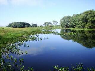 Lagoa Saraiva, uma das várias lagoas que formam o Parque Nacional de Ilha Grande em Mato Grosso do Sul e Paraná (Foto: Reprodução)