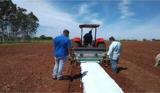 Técnico plástico da Agraer durante trabalho de campo (Foto: Arquivo | Governo de MS)