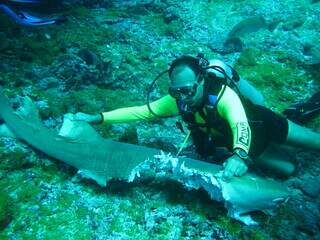 Rezendo com um tubarão que foi estraçalhado por outro. (Foto: Arquivo Pessoal)