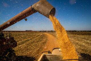 Colheita da soja em lavoura de Mato Grosso do Sul. (Foto: Divulgação)