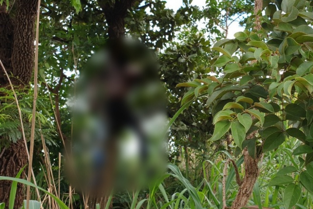 Homem &eacute; assassinado e tem corpo pendurado com arame farpado em &aacute;rvore