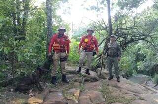 Bombeiros encerram busca por idosa desaparecida em trilha Bombeiros encerram busca por idosa desaparecida em trilha