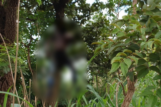 Corpo de Sicero estava amarrado com arame farpado em árvore. (Foto: BNC Notícias)