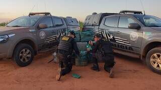 Mais uma carga milionária da droga foi encontrada no local, próximo da pista de pouso. (Foto: Divulgação/DOF)