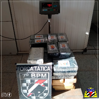 Pol&iacute;cia Militar apreende carga de pasta base camuflada em vegeta&ccedil;&atilde;o