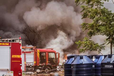 Inc&ecirc;ndio em terreno de f&aacute;brica come&ccedil;ou ap&oacute;s funcion&aacute;rio atear fogo em abelhas 