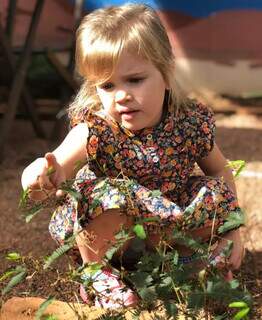 Criança brincando com planta. - Imagem: Arquivo pessoal