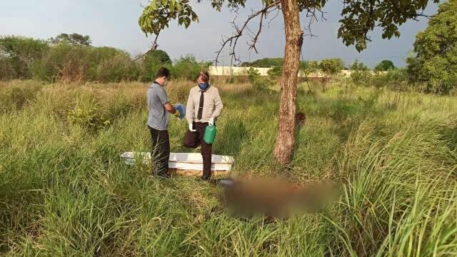Morador sente mau cheiro e encontra corpo em decomposi&ccedil;&atilde;o no mato