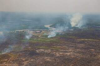 Incêndio no Pantanal em 2020 (Foto: Jeferson Prado)