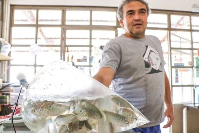 Da isca viva aos barcos de luxo: fim da piracema movimenta turismo de pesca 