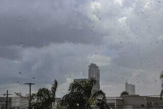 Chuva r&aacute;pida refresca o sabad&atilde;o de Carnaval na Capital 