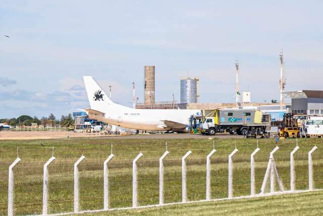 C&atilde;o acha 63 kg de maconha e pol&iacute;cia desvenda esquema de tr&aacute;fico por aeroporto 